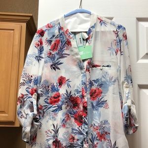 Size M Kut from the kloth NWT sheer button down